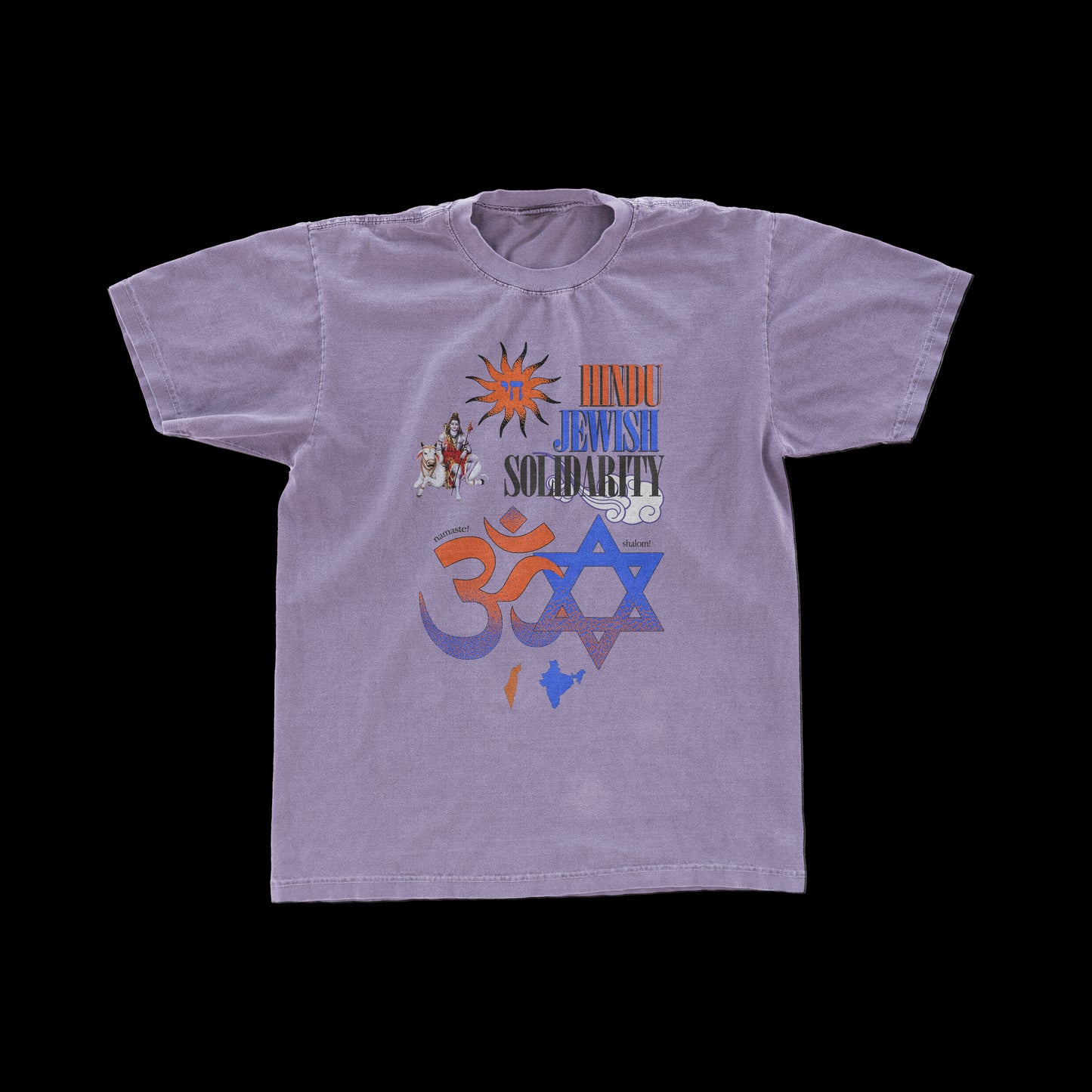 "HINDU JEWISH SOLIDARITY" Vintage Tee