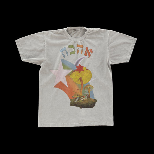 "AHAVA"  70's CREAM Vintage Tee